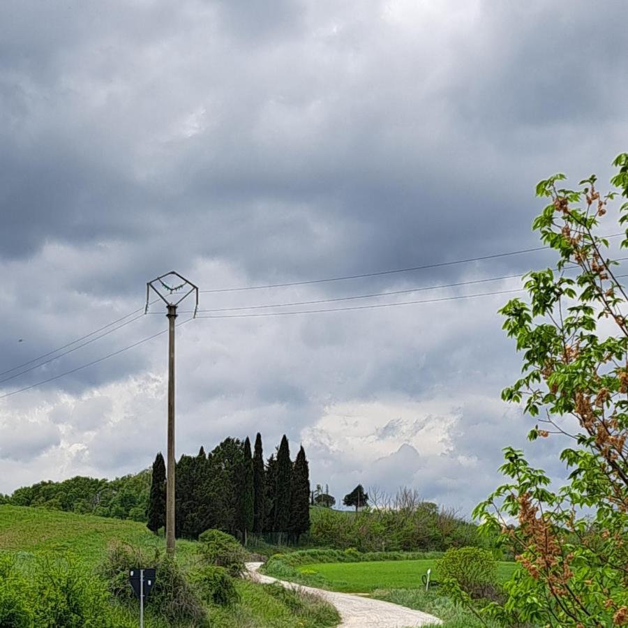 Affittacamere Alba Fiorita Castiglione d'Orcia Bagian luar foto